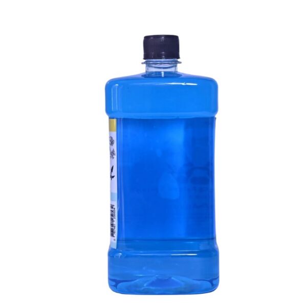 Hand Soap Aqua 1000ml Pack
