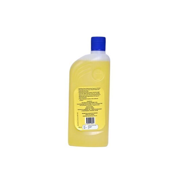 Surface Cleaner